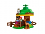 LEGO® Duplo Forest: Animals 10582 released in 2015 - Image: 3