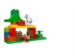 LEGO® Duplo Wildtiere 10582 erschienen in 2015 - Bild: 5