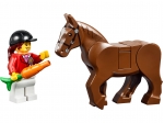 LEGO® Juniors Große Steinebox Mädchen Ponyhof 10674 erschienen in 2014 - Bild: 6