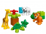 LEGO® Duplo Jungtiere (10801-1) released in (2016) - Image: 1
