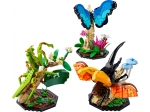 LEGO® Ideas The Insect Collection 21342 released in 2023 - Image: 1