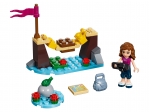LEGO® Friends Adventure Camp Bridge 30398 released in 2016 - Image: 1