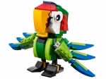 LEGO® Creator Regenwaldtiere 31031 erschienen in 2015 - Bild: 3