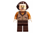 LEGO® Harry Potter Winkelgasse 75978 erschienen in 2020 - Bild: 29