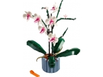 LEGO® Botanical Collection Orchidee 10311 erschienen in 2022 - Bild: 1