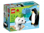 LEGO® Duplo Polartiere 10501 erschienen in 2013 - Bild: 2