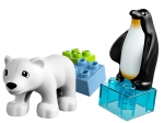 LEGO® Duplo Polartiere 10501 erschienen in 2013 - Bild: 3