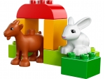 LEGO® Duplo Bauernhof-Tiere 10522 erschienen in 2014 - Bild: 3