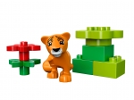 LEGO® Duplo Jungtiere 10801 erschienen in 2016 - Bild: 3