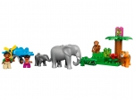 LEGO® Duplo Dschungel 10804 erschienen in 2016 - Bild: 8