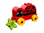 LEGO® Duplo My First Ladybug 10859 released in 2018 - Image: 1