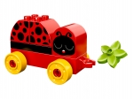LEGO® Duplo My First Ladybug 10859 released in 2018 - Image: 5