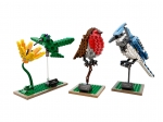 LEGO® Ideas Wildvögel 21301 erschienen in 2015 - Bild: 1