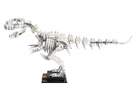 LEGO® 4 Juniors Dinosaurier-Fossilien 21320 erschienen in 2019 - Bild: 19