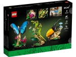 LEGO® Ideas The Insect Collection 21342 released in 2023 - Image: 7
