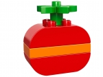 LEGO® Duplo kleines Bauset -Tomate" 6 teiliges Duplo Bauset 30068 erschienen in 2014 - Bild: 1