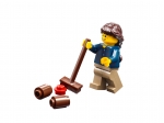 LEGO® Creator Wechselnde Jahreszeiten 31038 erschienen in 2015 - Bild: 10