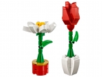LEGO® Classic LEGO® Blumenpracht 40187 erschienen in 2018 - Bild: 1