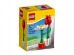 LEGO® Classic LEGO® Flower Display 40187 released in 2018 - Image: 2