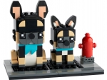 LEGO® BrickHeadz Pets - French Bulldog 40544 released in 2022 - Image: 1
