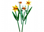 LEGO® Botanical Collection Daffodils 40646 released in 2023 - Image: 1