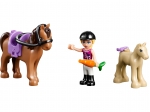 LEGO® Friends Sunshine Ranch 41039 released in 2014 - Image: 6