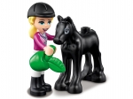 LEGO® Friends Horse Training and Trailer 41441 released in 2021 - Image: 4