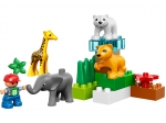 LEGO® Duplo Baby Zoo 4962 released in 2006 - Image: 3