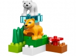LEGO® Duplo Baby Zoo 4962 released in 2006 - Image: 4