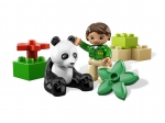 LEGO® Duplo Pandabär 6173 erschienen in 2012 - Bild: 1