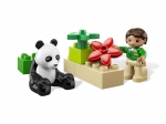 LEGO® Duplo Panda 6173 released in 2012 - Image: 3
