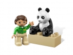 LEGO® Duplo Pandabär 6173 erschienen in 2012 - Bild: 4