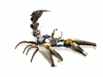 LEGO® Pharaoh's Quest Scorpion Pyramid 7327 released in 2011 - Image: 7